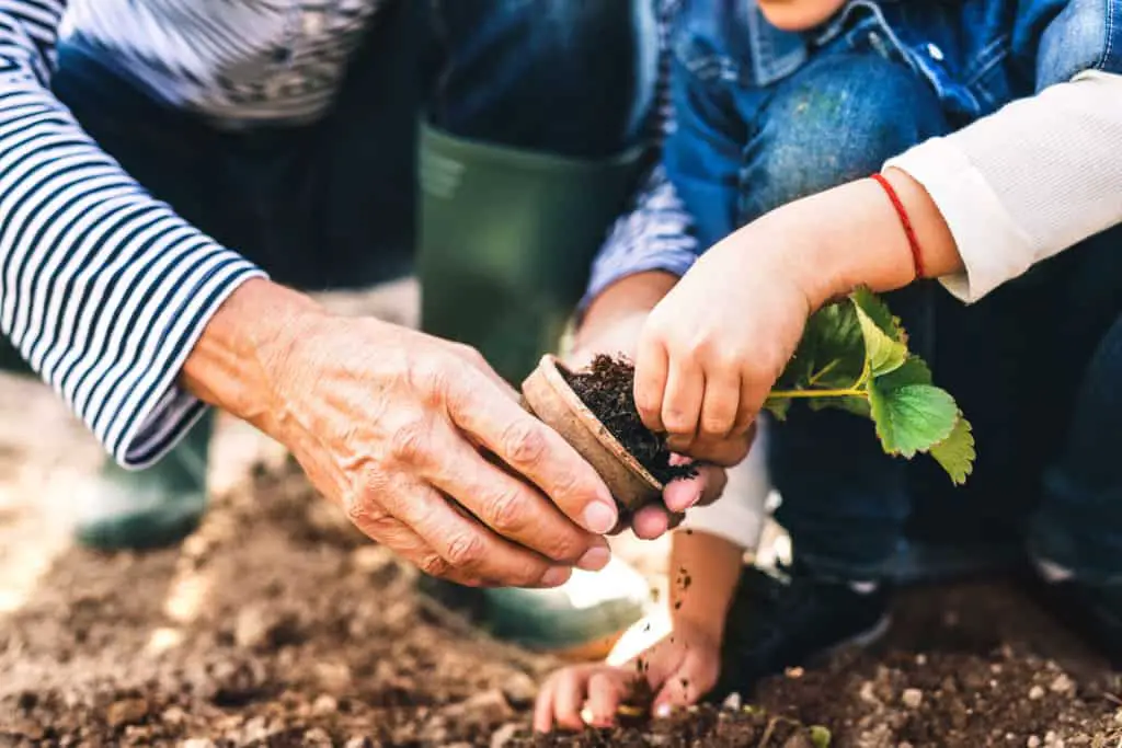 Gardening